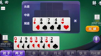 創業新藍海 手機麻將開發，溫州商機觸手可及